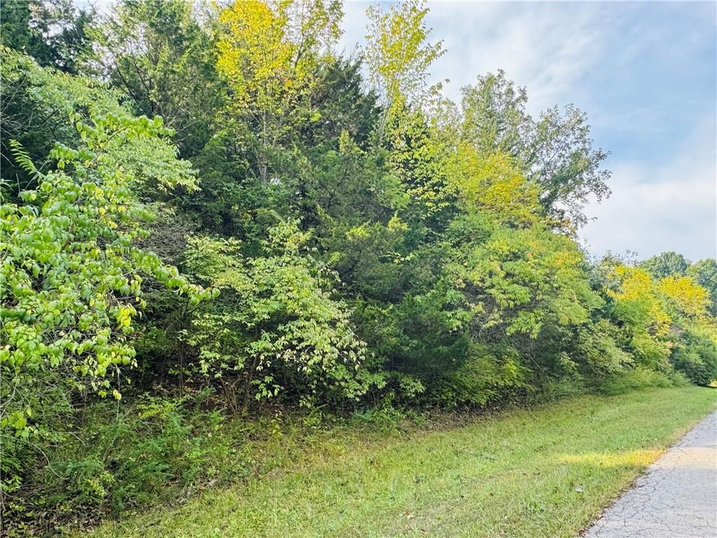 000 Lot 1 Silver Lane, Sugar Creek, MO 64054