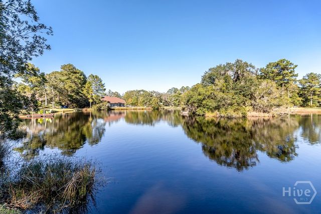 831 Sweet Hill Road, Richmond Hill, GA 31324