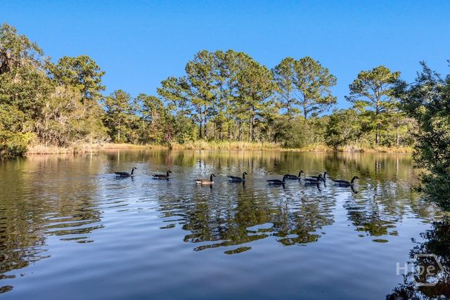 831 Sweet Hill Road, Richmond Hill, GA 31324