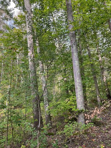 21995 Harrons Ridge Road, Dexter City, OH 45727