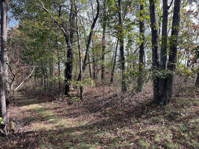 21995 Harrons Ridge Road, Dexter City, OH 45727