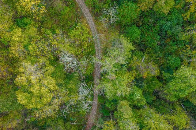 21995 Harrons Ridge Road, Dexter City, OH 45727