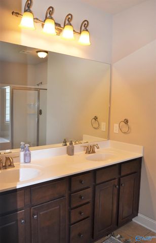 104 Rushing Brook Drive, Madison, AL 35756