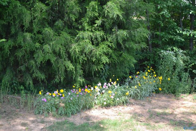 104 Rushing Brook Drive, Madison, AL 35756