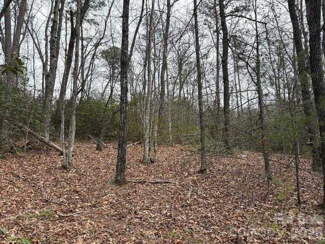 Lot 106 Ravenswood Drive, Marion, NC 28752
