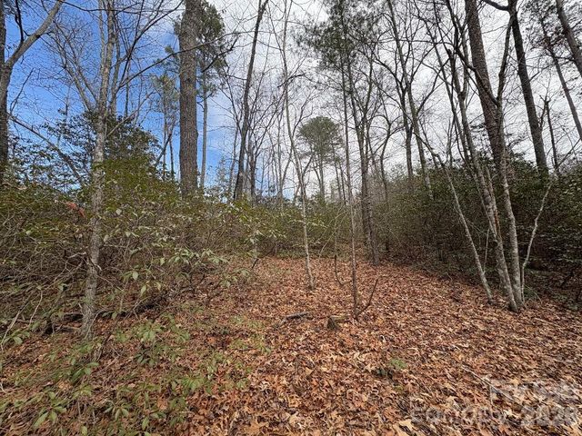 Lot 106 Ravenswood Drive, Marion, NC 28752