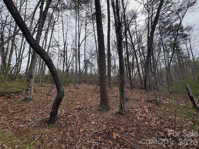 Lot 106 Ravenswood Drive, Marion, NC 28752