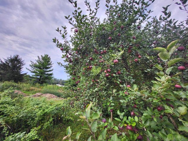 5155 Sunrise Ridge TRAIL, Middleton, WI 53562