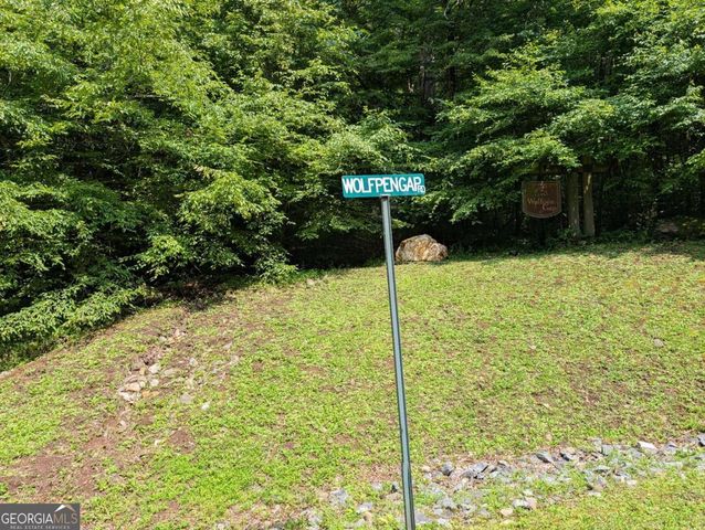 31 & 32 Wolfpen Gap Road, Hiawassee, GA 30546