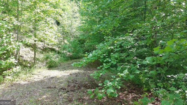31 & 32 Wolfpen Gap Road, Hiawassee, GA 30546