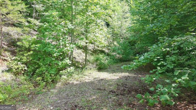 31 & 32 Wolfpen Gap Road, Hiawassee, GA 30546