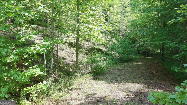 31 & 32 Wolfpen Gap Road, Hiawassee, GA 30546