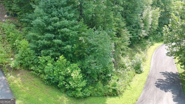 31 & 32 Wolfpen Gap Road, Hiawassee, GA 30546