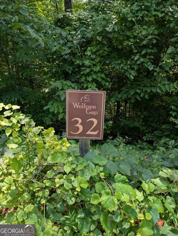 31 & 32 Wolfpen Gap Road, Hiawassee, GA 30546