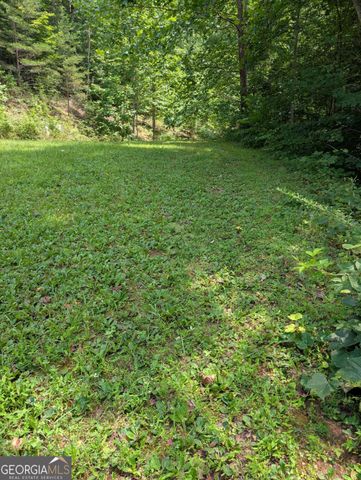 31 & 32 Wolfpen Gap Road, Hiawassee, GA 30546