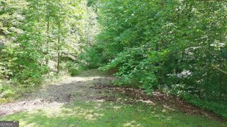 31 & 32 Wolfpen Gap Road, Hiawassee, GA 30546