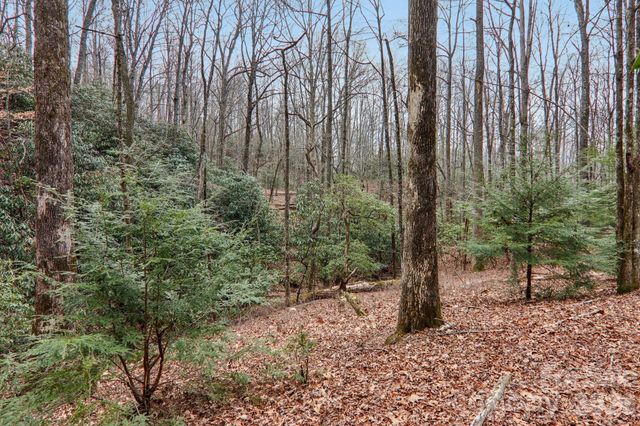 71 N Setsi Lane, Brevard, NC 28712