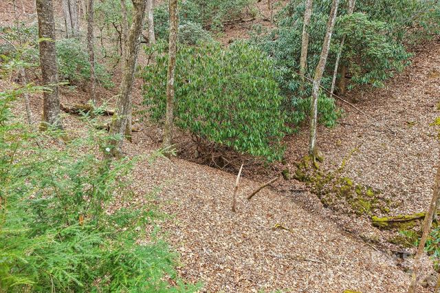 71 N Setsi Lane, Brevard, NC 28712