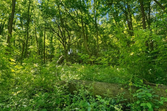 4500 Creek View Drive, Hudsonville, MI 49426