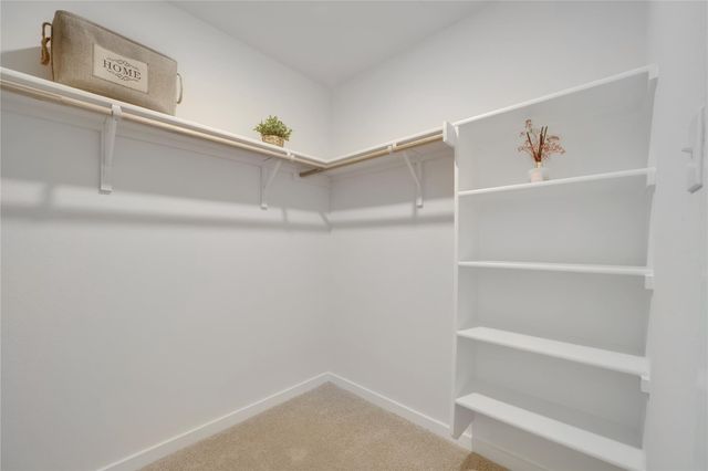 120 Rosa RD, San Marcos, TX 78666