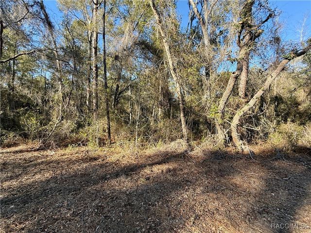 3350 E Kennedy Street, Inverness, FL 34453