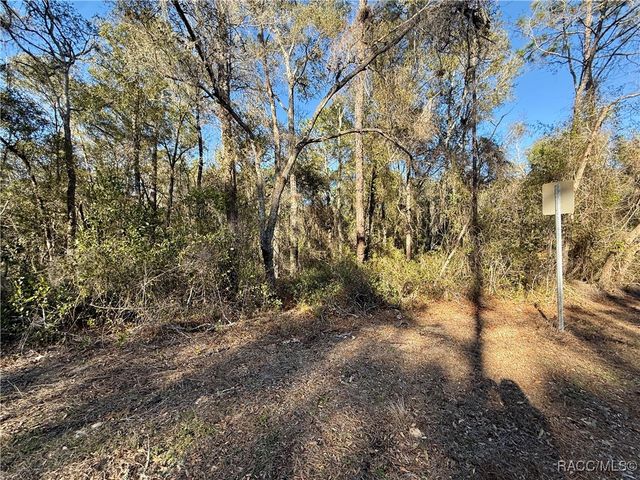 3350 E Kennedy Street, Inverness, FL 34453