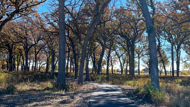 504 Autumn Moor Trail, Hampshire, IL 60140