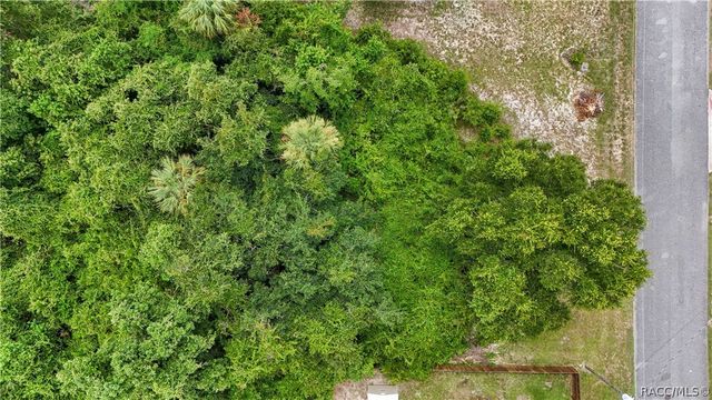 8458 W Buckwood Court, Homosassa, FL 34448