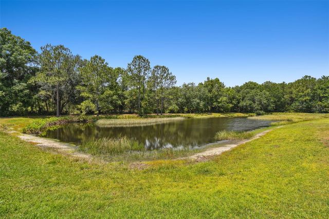 8208 PINEWOOD RUN COURT, Tampa, FL 33647