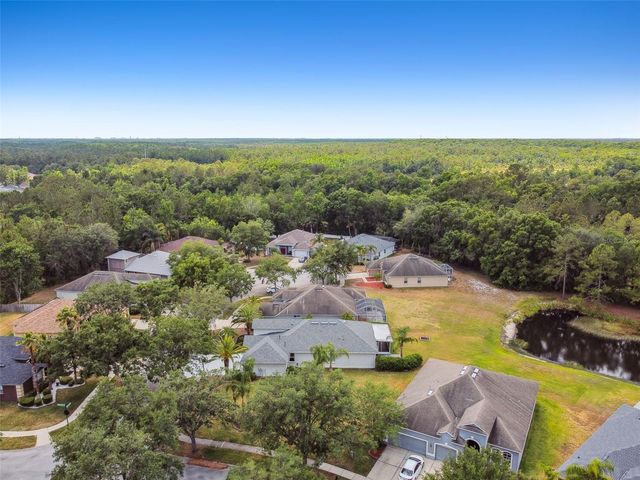 8208 PINEWOOD RUN COURT, Tampa, FL 33647