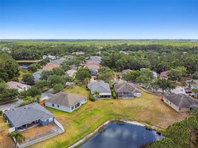 8208 PINEWOOD RUN COURT, Tampa, FL 33647