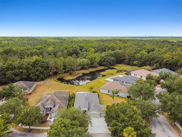 8208 PINEWOOD RUN COURT, Tampa, FL 33647