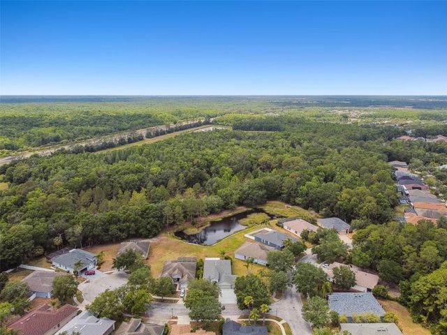 8208 PINEWOOD RUN COURT, Tampa, FL 33647
