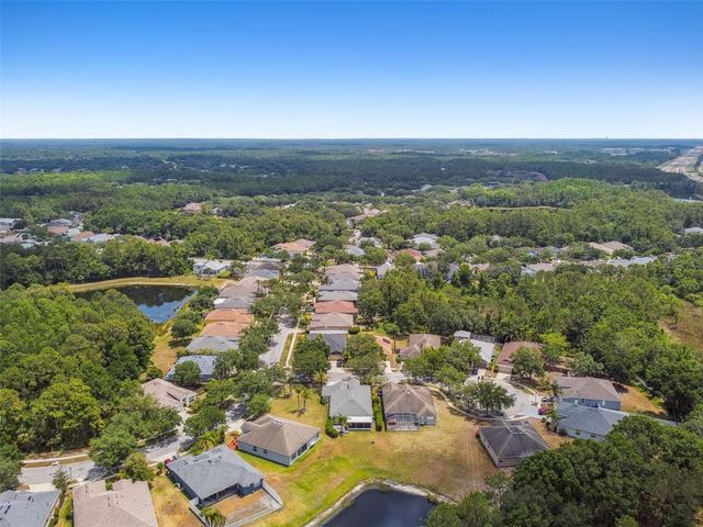 8208 PINEWOOD RUN COURT, Tampa, FL 33647