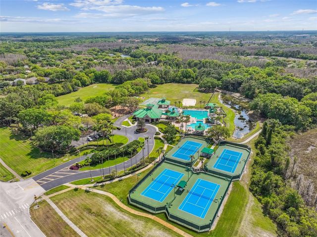 8208 PINEWOOD RUN COURT, Tampa, FL 33647