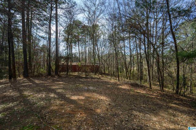 108 LIBERTY COVE, Chelsea, AL 35043