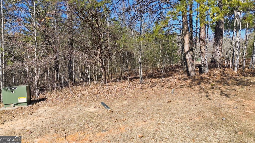 12 Wards Pond Way, Toccoa, GA 30577 — exterior