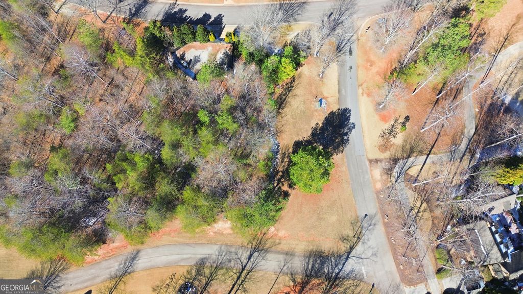 12 Wards Pond Way, Toccoa, GA 30577 — photo 2