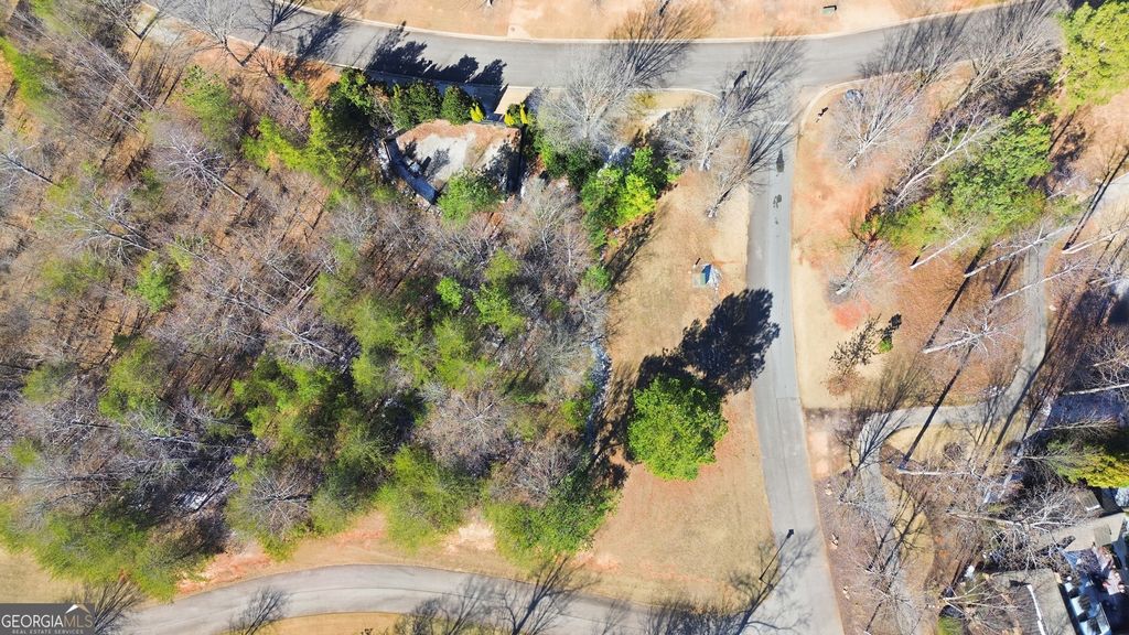 12 Wards Pond Way, Toccoa, GA 30577 — photo 4