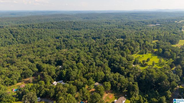 68 MOSS LANE, Pell City, AL 35125