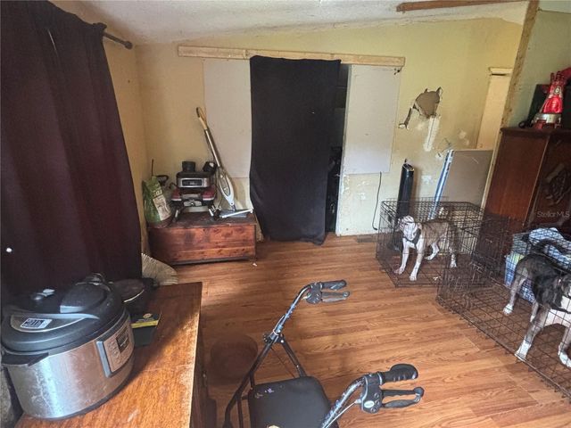 7206 WHALENS HIDEAWAY STREET, Plant City, FL 33565