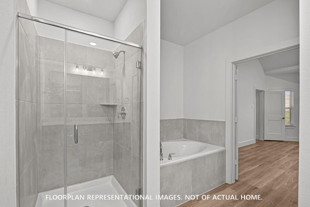 768 Hackberry Branch Court, Magnolia, TX 77354