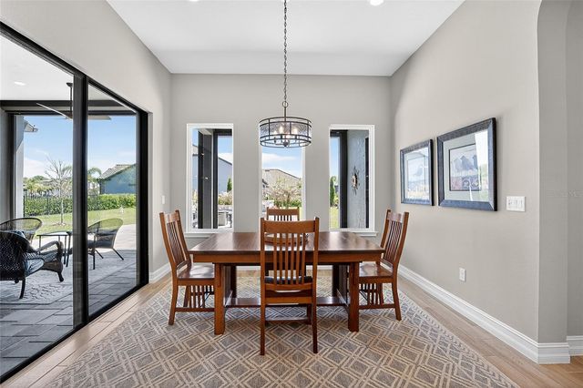 17904 LINDEN COMMON COURT, Lutz, FL 33559