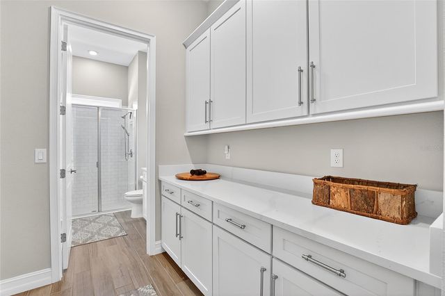 17904 LINDEN COMMON COURT, Lutz, FL 33559