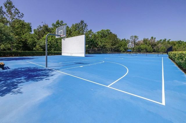 17904 LINDEN COMMON COURT, Lutz, FL 33559