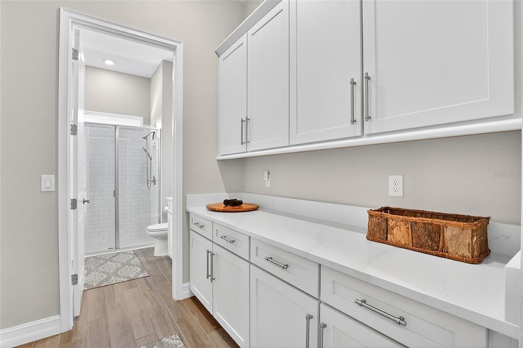 Image 49 of property listing at 17904 LINDEN COMMON COURT, Lutz, FL 33559