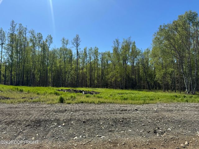 4610 N Baloo Drive, Wasilla, AK 99654