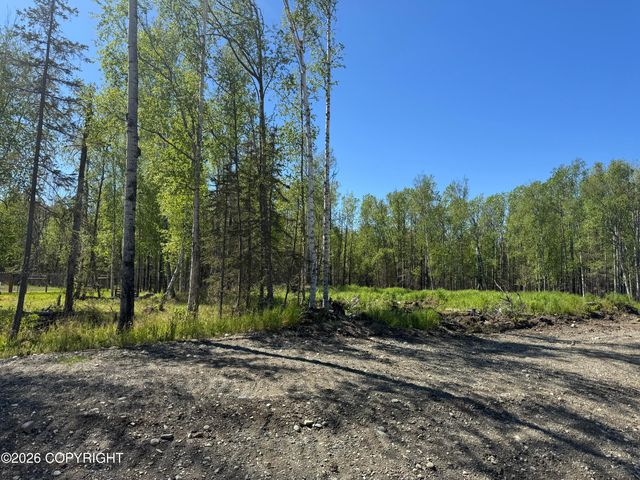 4610 N Baloo Drive, Wasilla, AK 99654