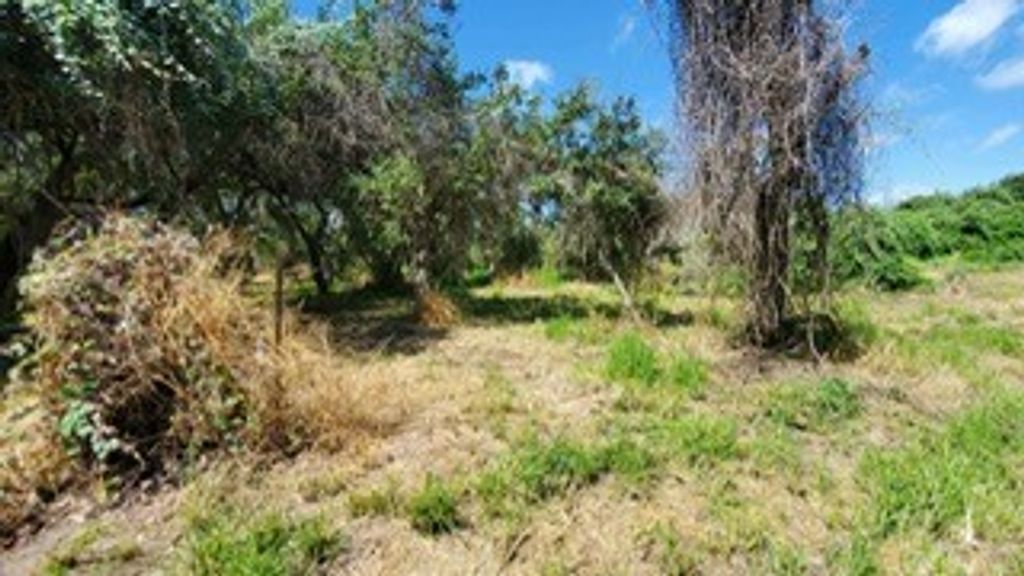 0000 Mooney Lane, Ingleside, TX 78362 — photo 3