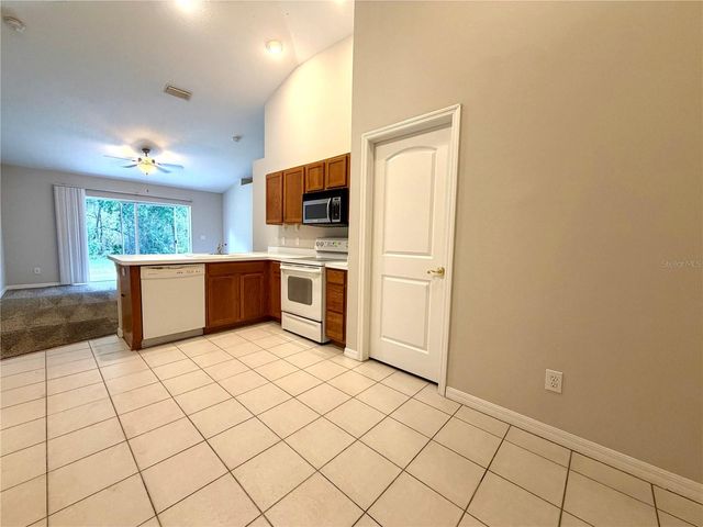 10450 LUCAYA DRIVE, Tampa, FL 33647